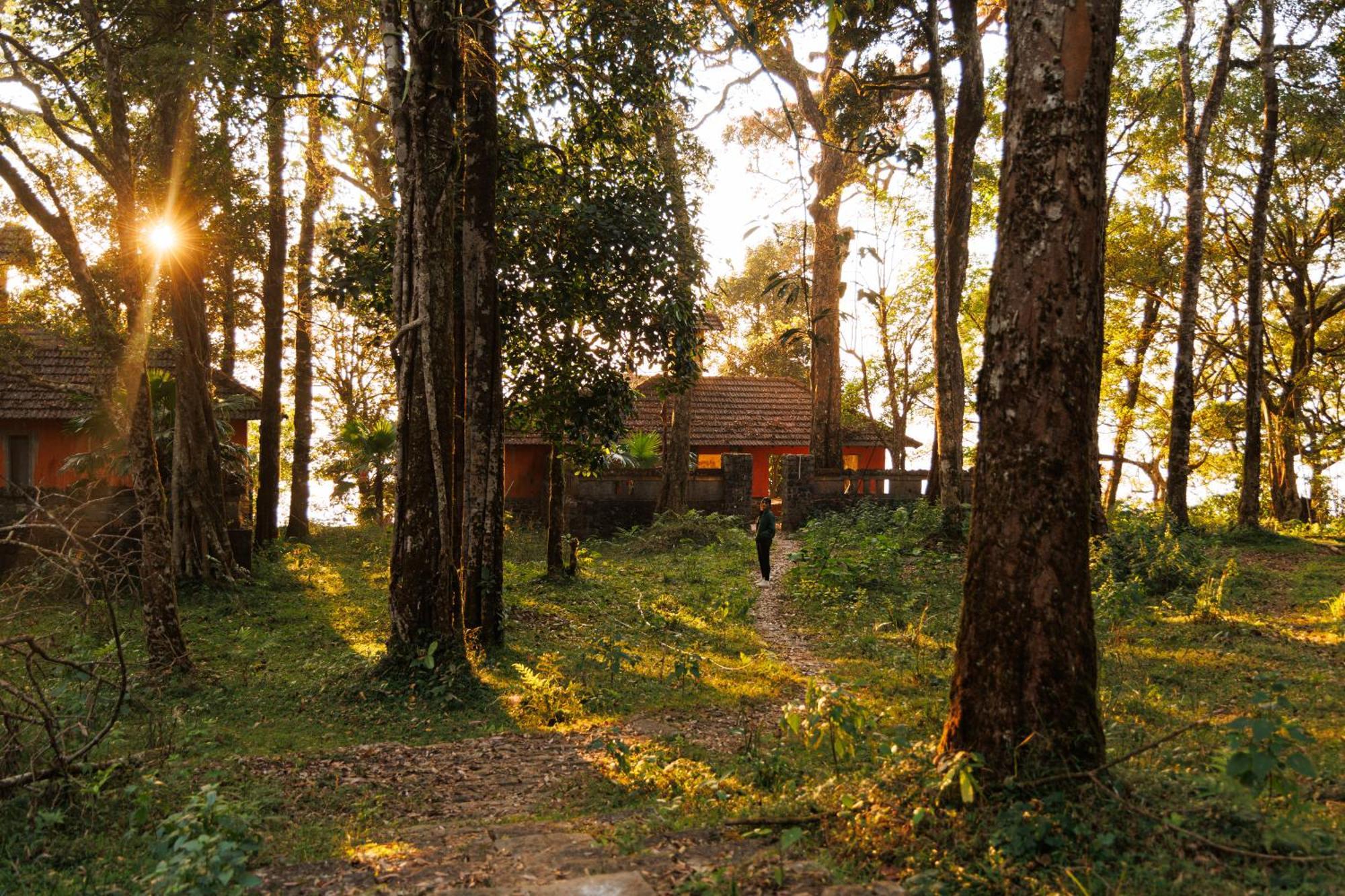 Jungle Park Resort By Greenescapes Vythiri Buitenkant foto