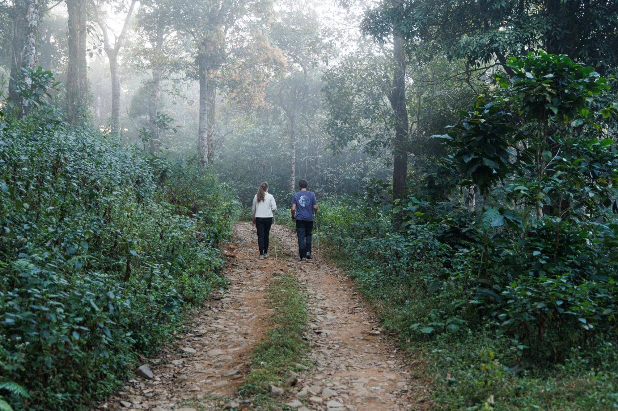 Jungle Park Resort By Greenescapes Vythiri Buitenkant foto