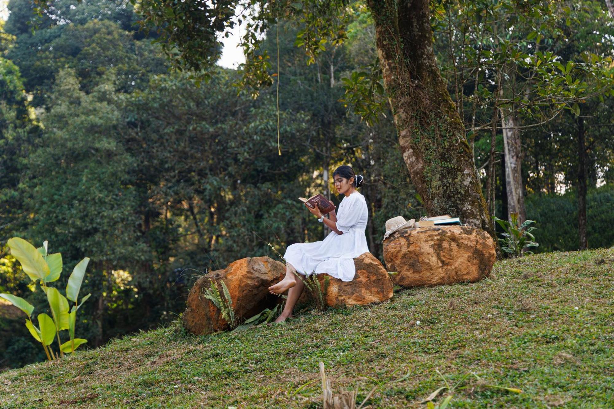 Jungle Park Resort By Greenescapes Vythiri Buitenkant foto