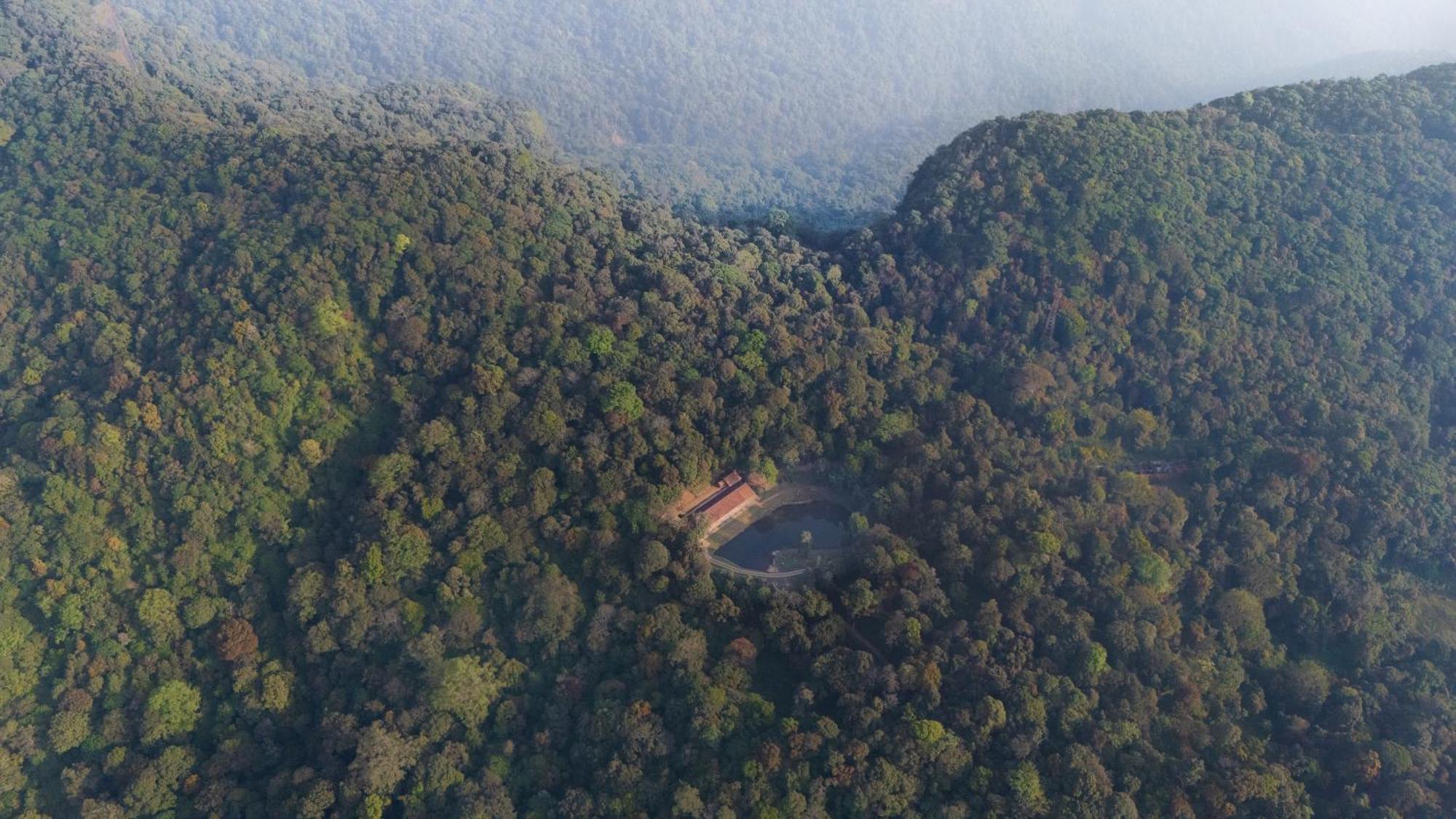 Jungle Park Resort By Greenescapes Vythiri Buitenkant foto