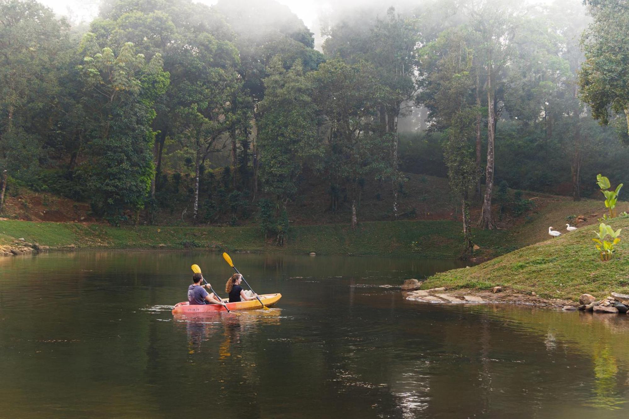 Jungle Park Resort By Greenescapes Vythiri Buitenkant foto